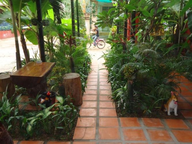 Ladybug Guesthouse Siem Reap Zewnętrze zdjęcie