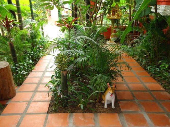 Ladybug Guesthouse Siem Reap Zewnętrze zdjęcie